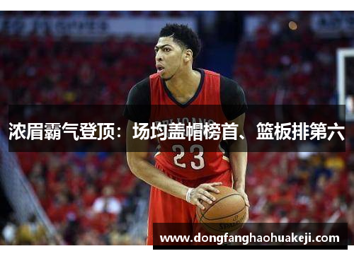 浓眉霸气登顶：场均盖帽榜首、篮板排第六